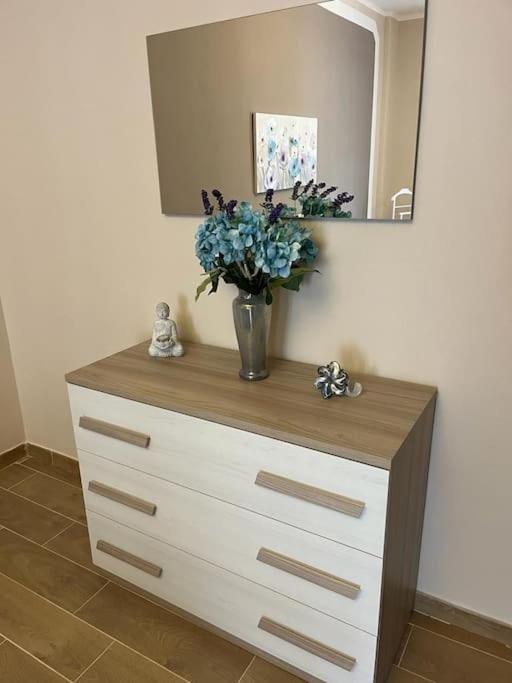 Attico Briccarello -Intero Appartamento- Elegant Suite With Free Wifi Near Inalpi Arena And Sporting Club Torino-Olimpyc Stadium Екстериор снимка